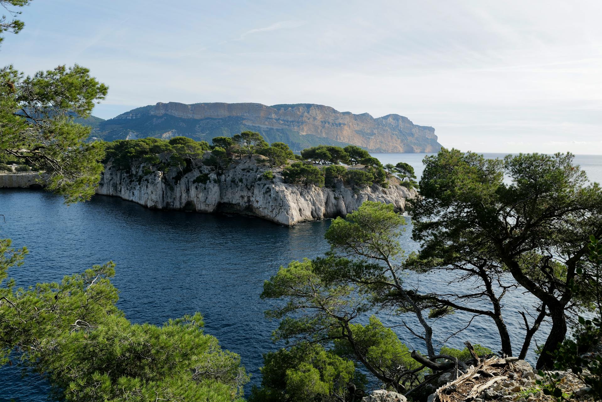 Domiciliation Bouches-du-Rhône : Villes & Tarifs 2026